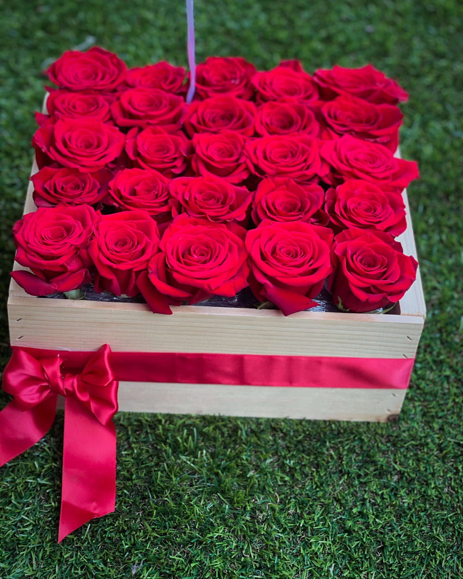 38C75595-9E81-4CF2-8333-4F7DA5066BB0