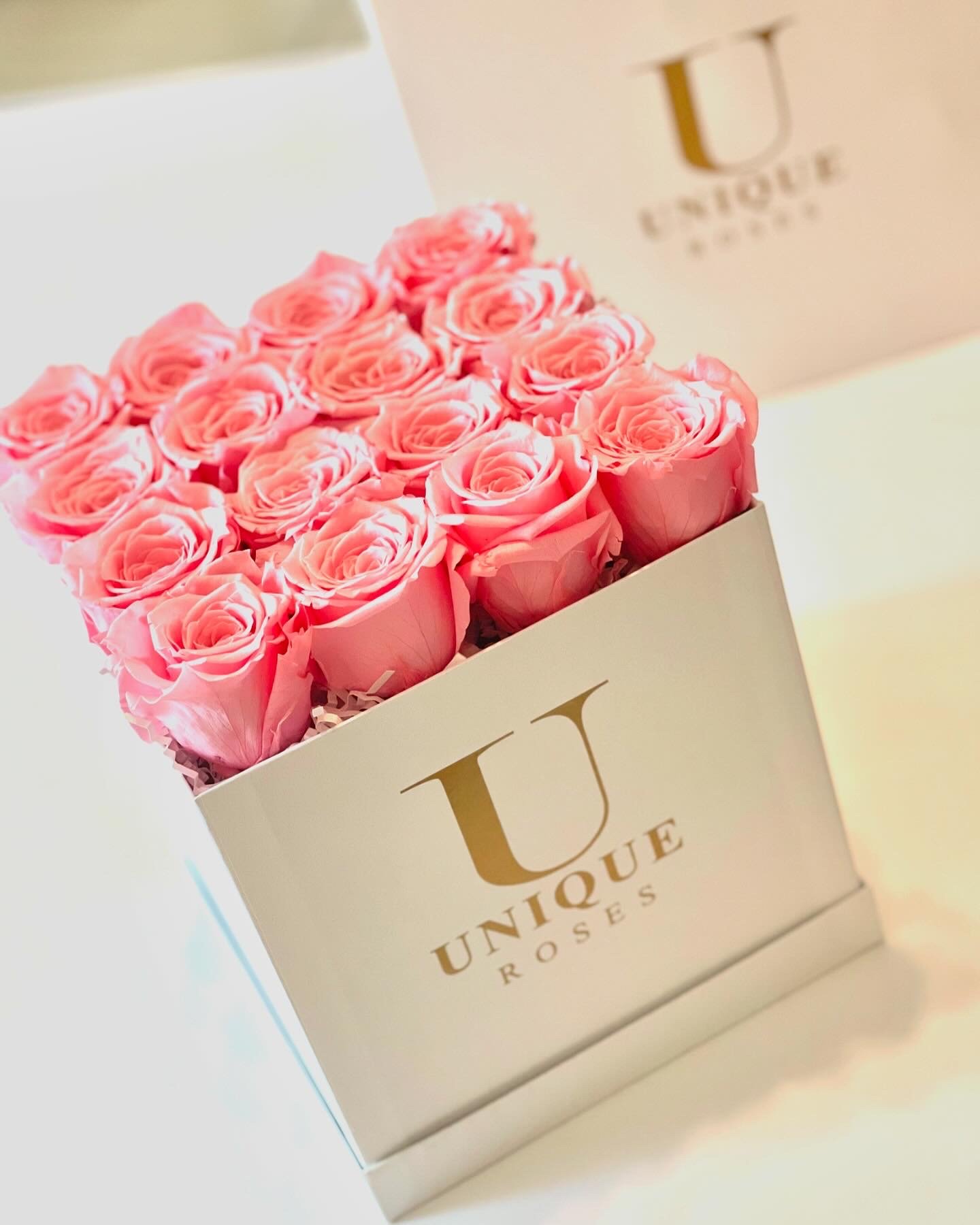 6B0EEB1A-8E32-4445-AA58-FCE63832C850