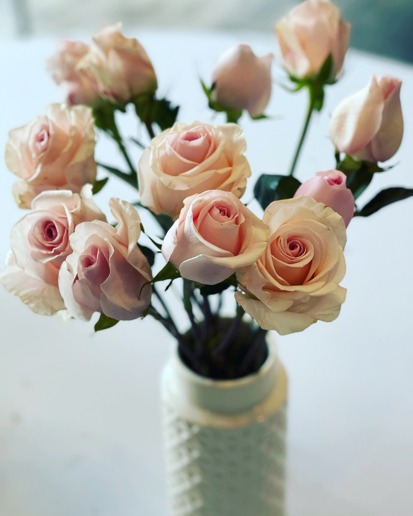 thumbnail_63609558-7145-4E01-85F5-5A52415BA441