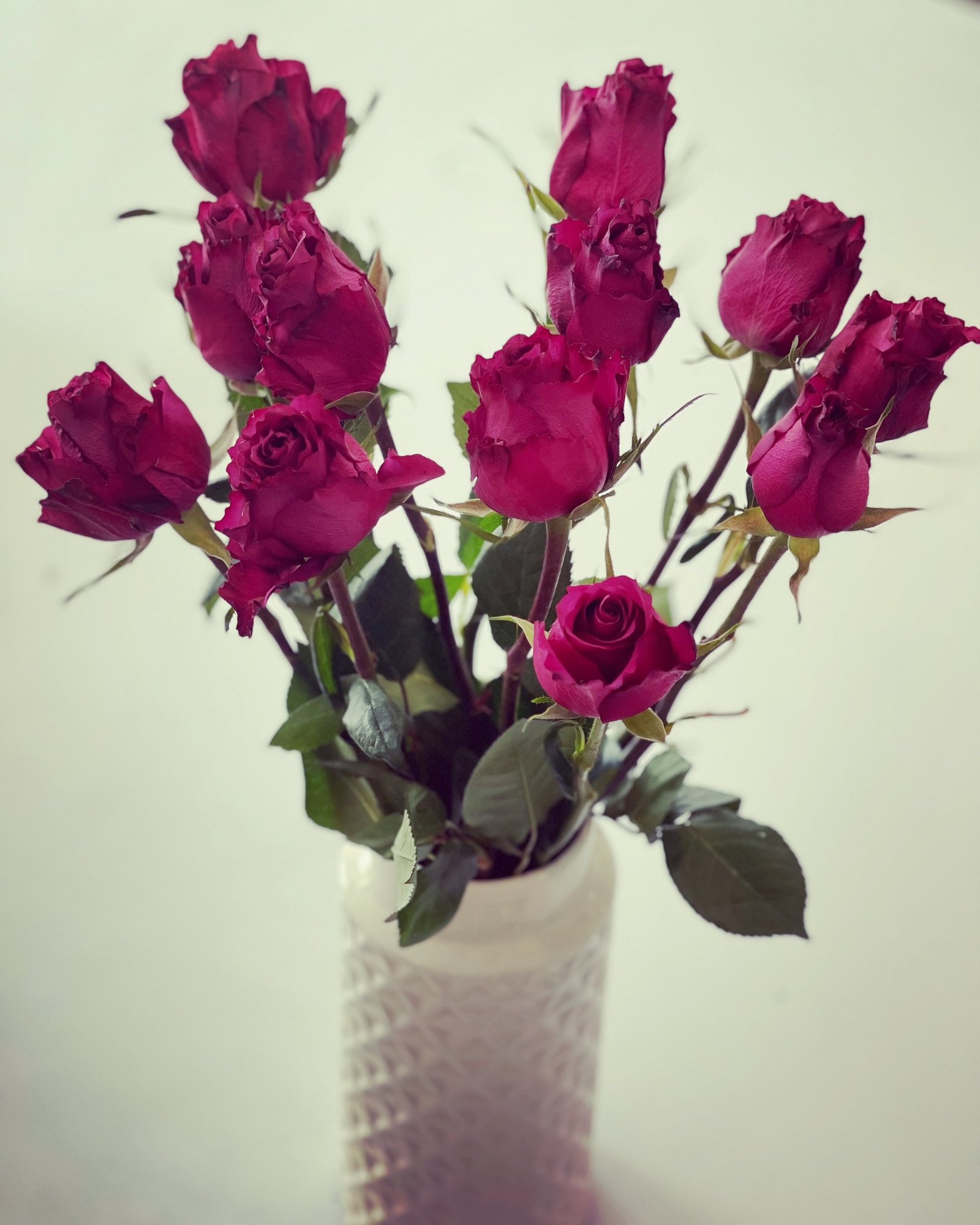 thumbnail_6E8682FB-C5EA-48A3-A5AA-71AA0A0EC888