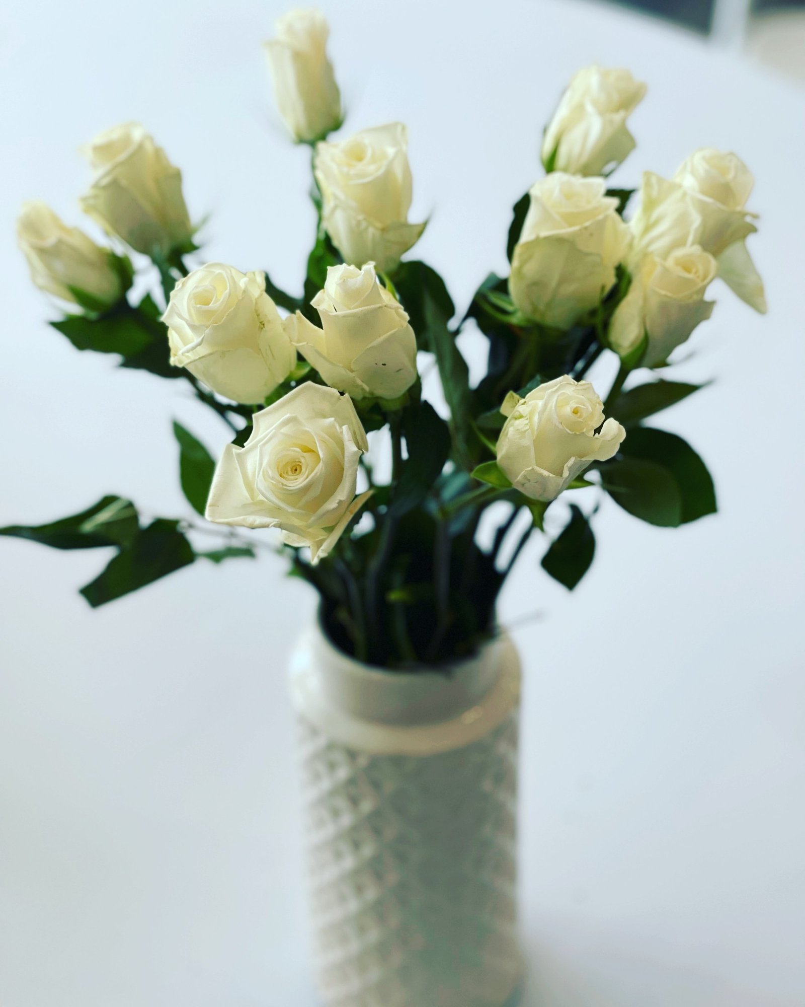 thumbnail_8B144767-4EE1-4C02-B1BD-B71AEA06CD22